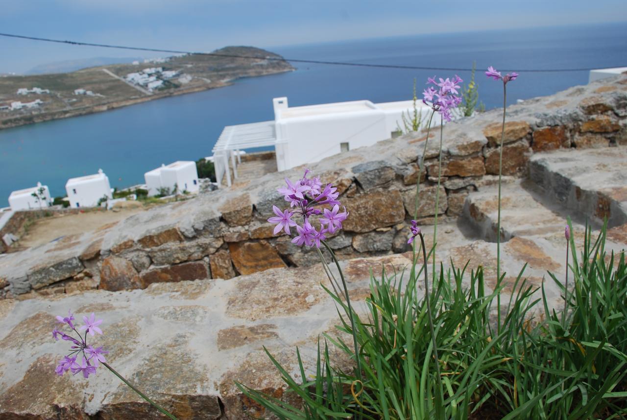 Plan-b Holidays